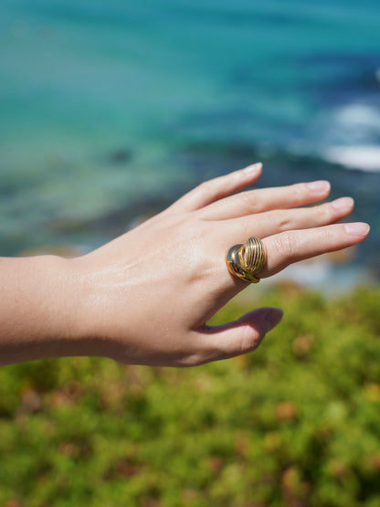 ✨ Sculpted Shell Ring